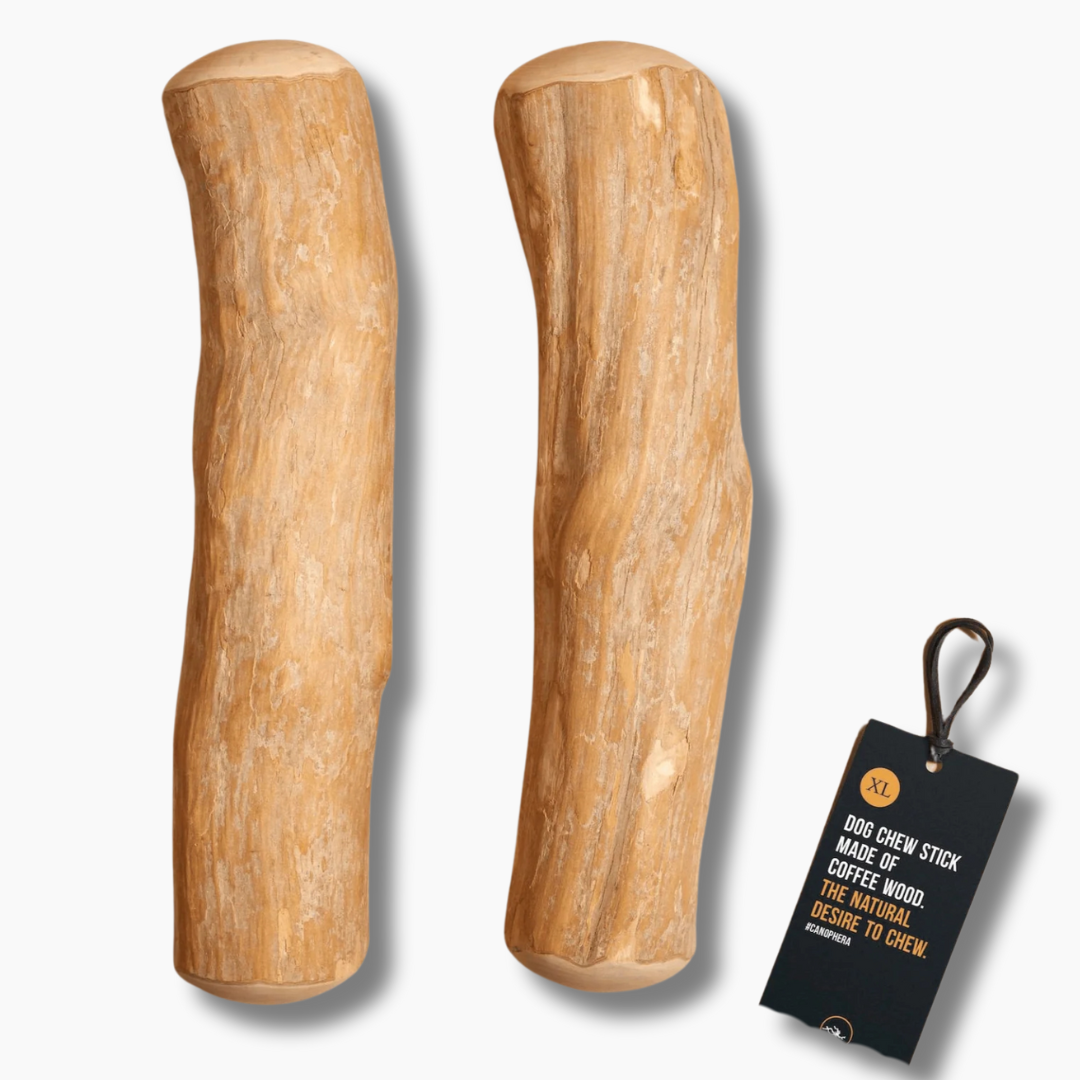Natural Coffee Wood Dog Chew XL Size